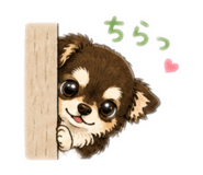 888871020