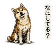 888871716