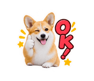 888872781