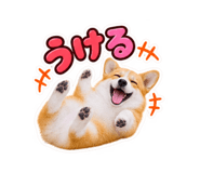 888872782