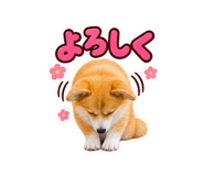 888872784