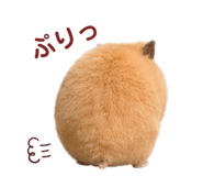 888910058