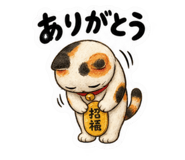 888912803