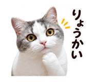 888913005
