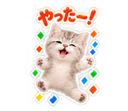 888914286