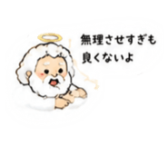 888926441