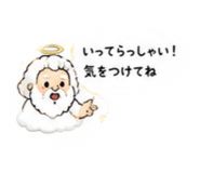888926446