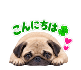 888927290