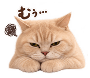 888930827