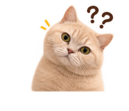 888930831