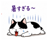 888955274