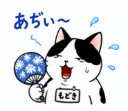 888955275