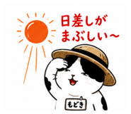 888955279