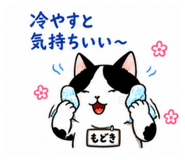 888955281