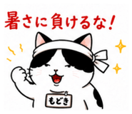 888955285
