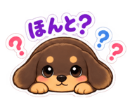 888956090