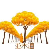 888971987