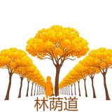 888971988