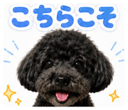 888975134