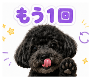 888975135