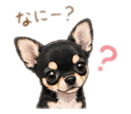 888976857