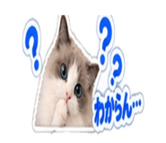 888977787