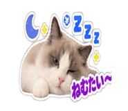 888977798