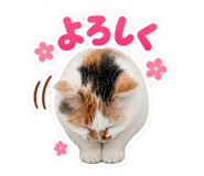 888983752