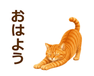889001577