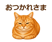 889001582