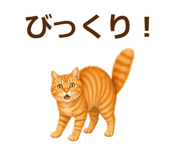 889001598