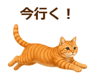 889001599