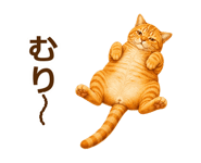 889001600