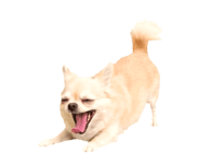 889003989