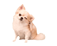 889004001