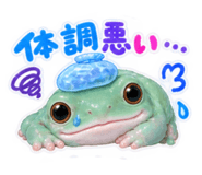 889005853