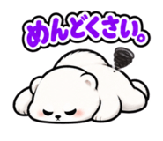 889006126
