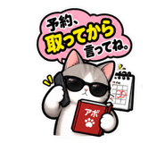 889006181