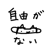 889006323