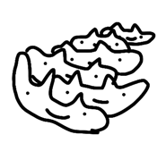 889006324