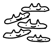 889006344