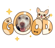 889006620