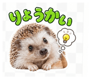 889006839
