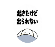 889017453