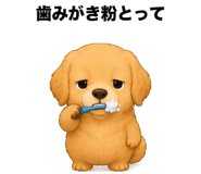 889044182