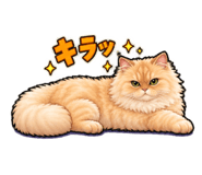 889049249