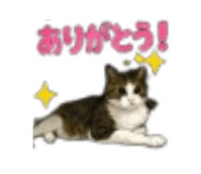 889049489
