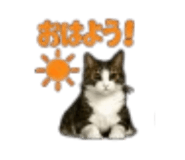 889049492