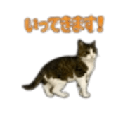889049495