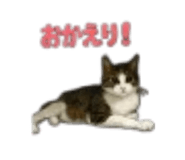 889049498